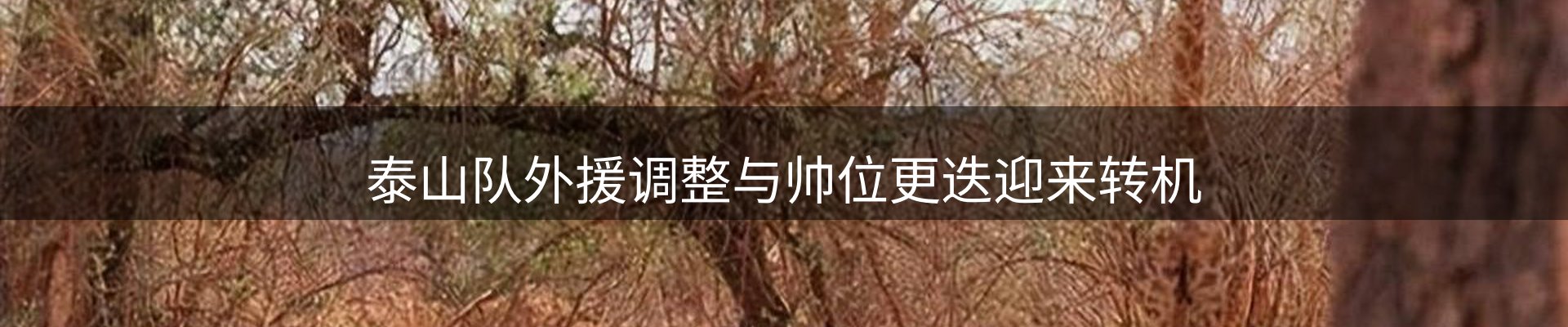 热点要闻